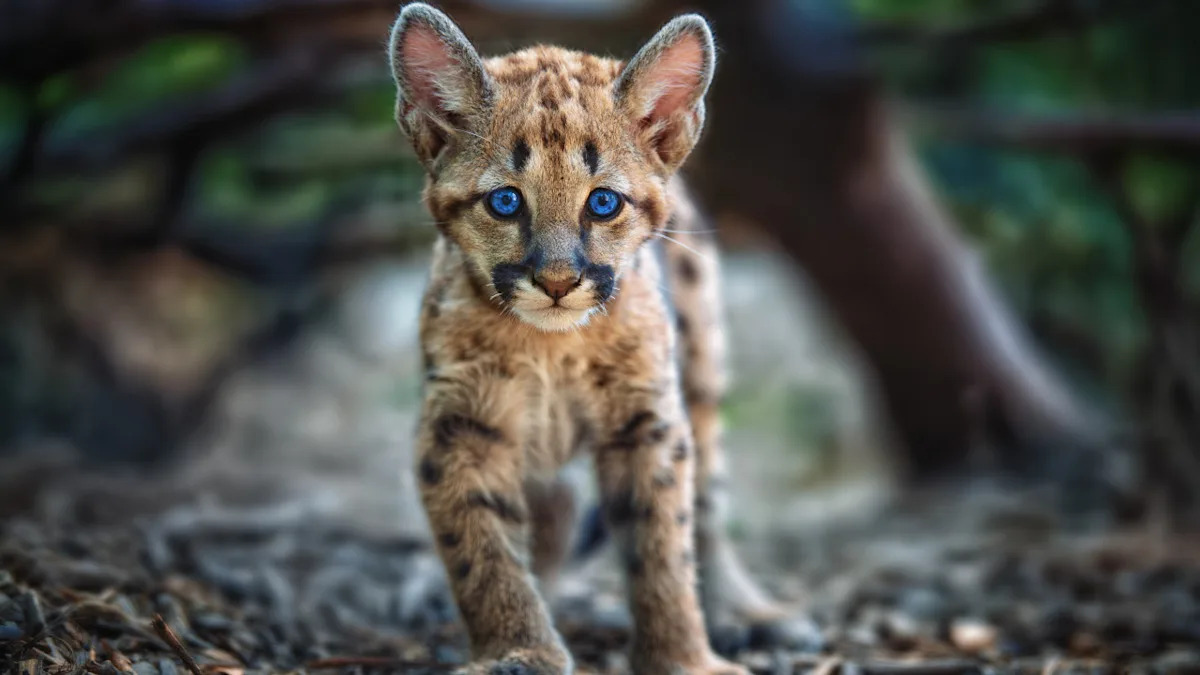 Yahoo lifestyle home