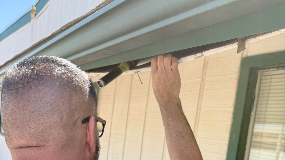 Deputy rescues six kittens from Selma substation ceiling (Photo: Fresno County Sheriff's Office)