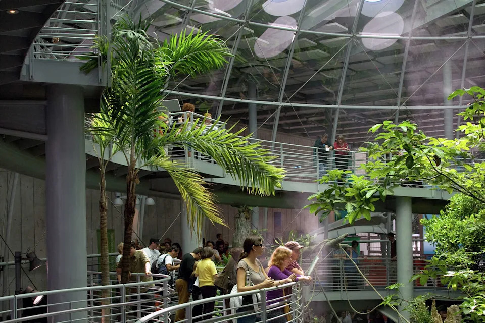 Visitors explore the living dome exhibit inside the California Academy of Sciences in San Francisco's Golden Gate Park. (Getty Images)