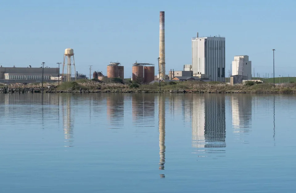 A view of the marine terminal as seen from Eureka.