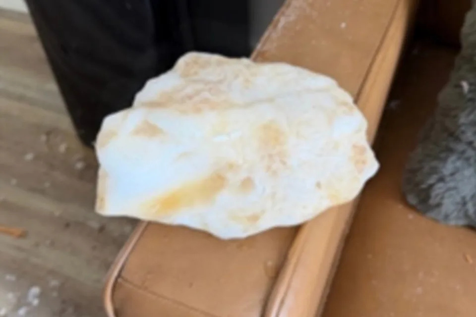 A giant chunk of ice has crashed through the roof of a California home and landed on the tenant’s couch, prompting the Federal Aviation Administration to investigate (Los Angeles County Supervisor Janice Hahn)