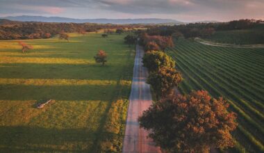 Where to Stay, Play & Eat on Your Next CA Road Trip