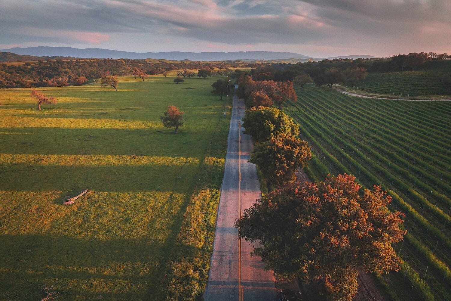Where to Stay, Play & Eat on Your Next CA Road Trip