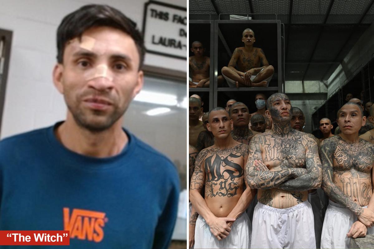 ICE agents in San Diego capture machete-swinging MS-13 assassin from El Salvador known as "the witch"