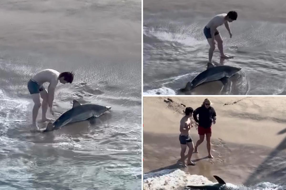 Insane moment fisherman wrangles great white shark off California beach