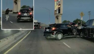 ICE agents shoot 18th Street Gang member who 'weaponized his vehicle' in California