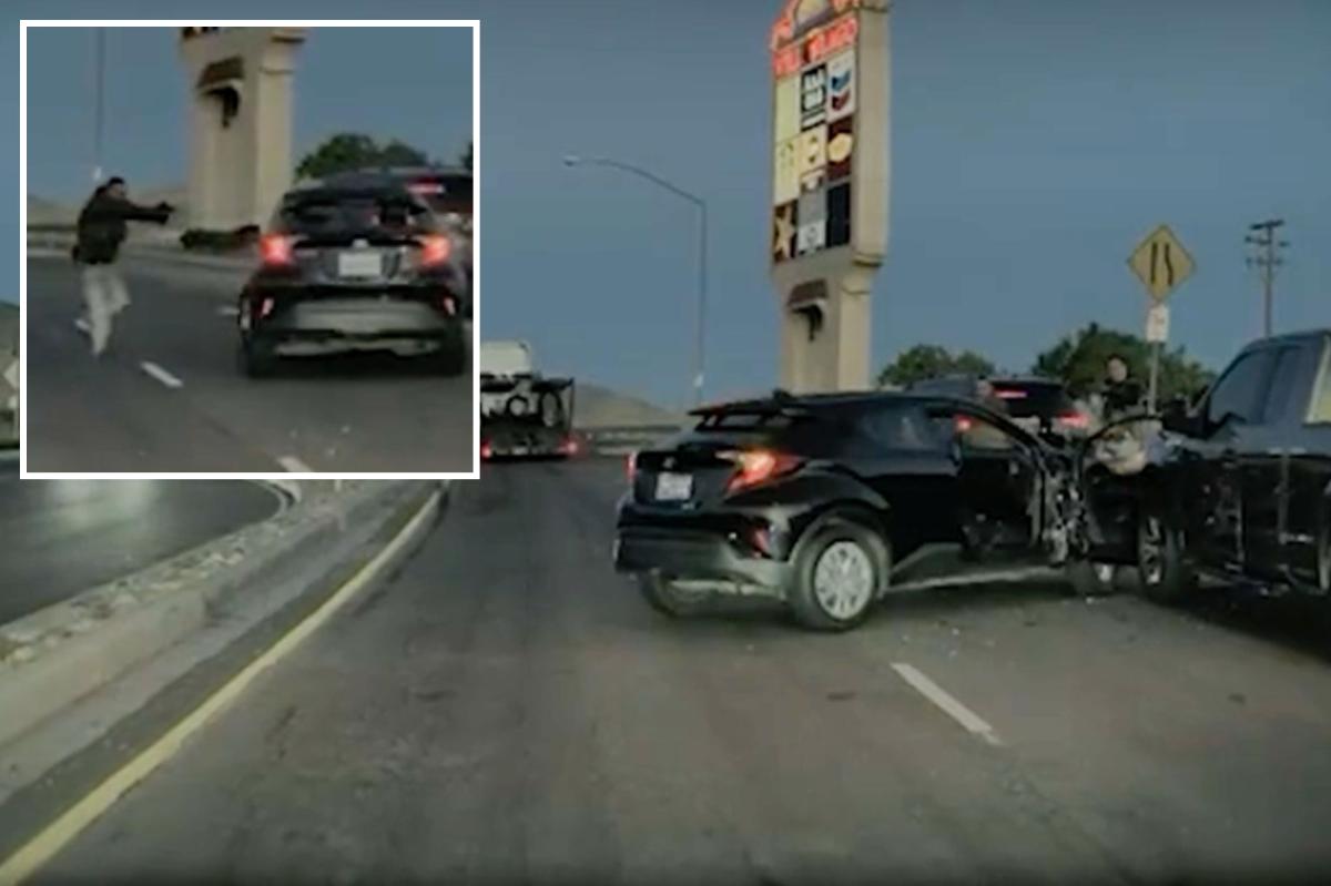 ICE agents shoot 18th Street Gang member who 'weaponized his vehicle' in California