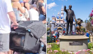Disneyland visitors in Anaheim caught on video sneaking in child in stroller