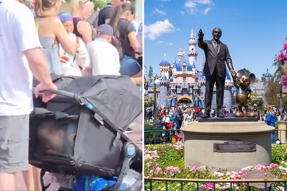 Disneyland visitors in Anaheim caught on video sneaking in child in stroller