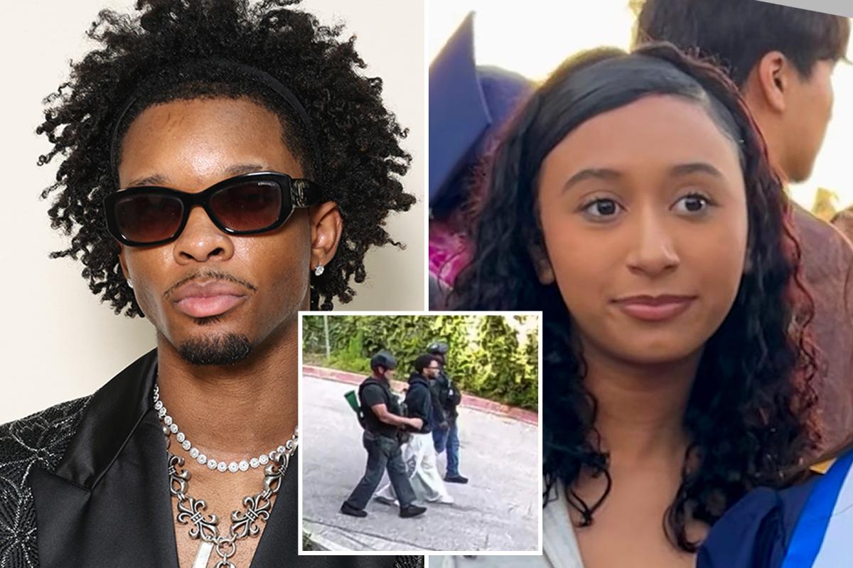 Video footage shows D4vd arrested in Hollywood Hills, surrounded by LAPD officers