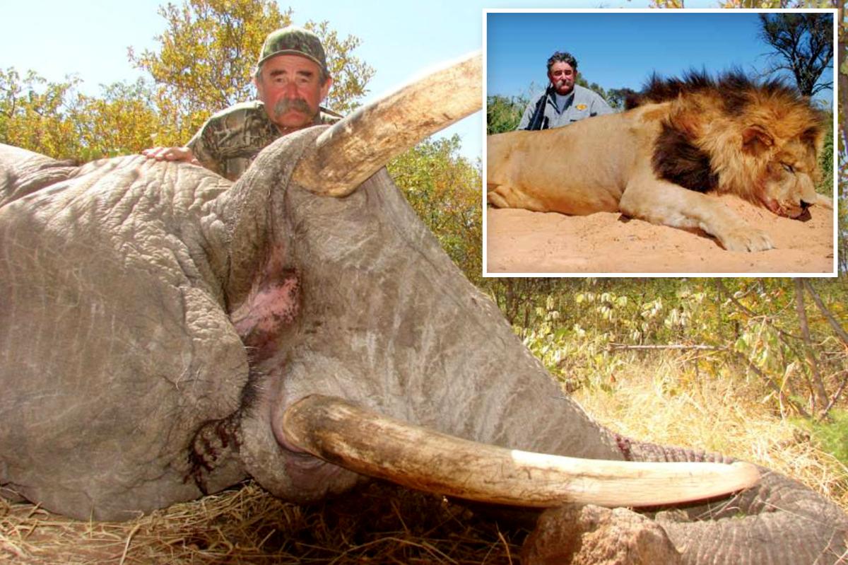 Millionaire big game hunter, 75, trampled to death by five elephants while eyeing his next kill in Africa