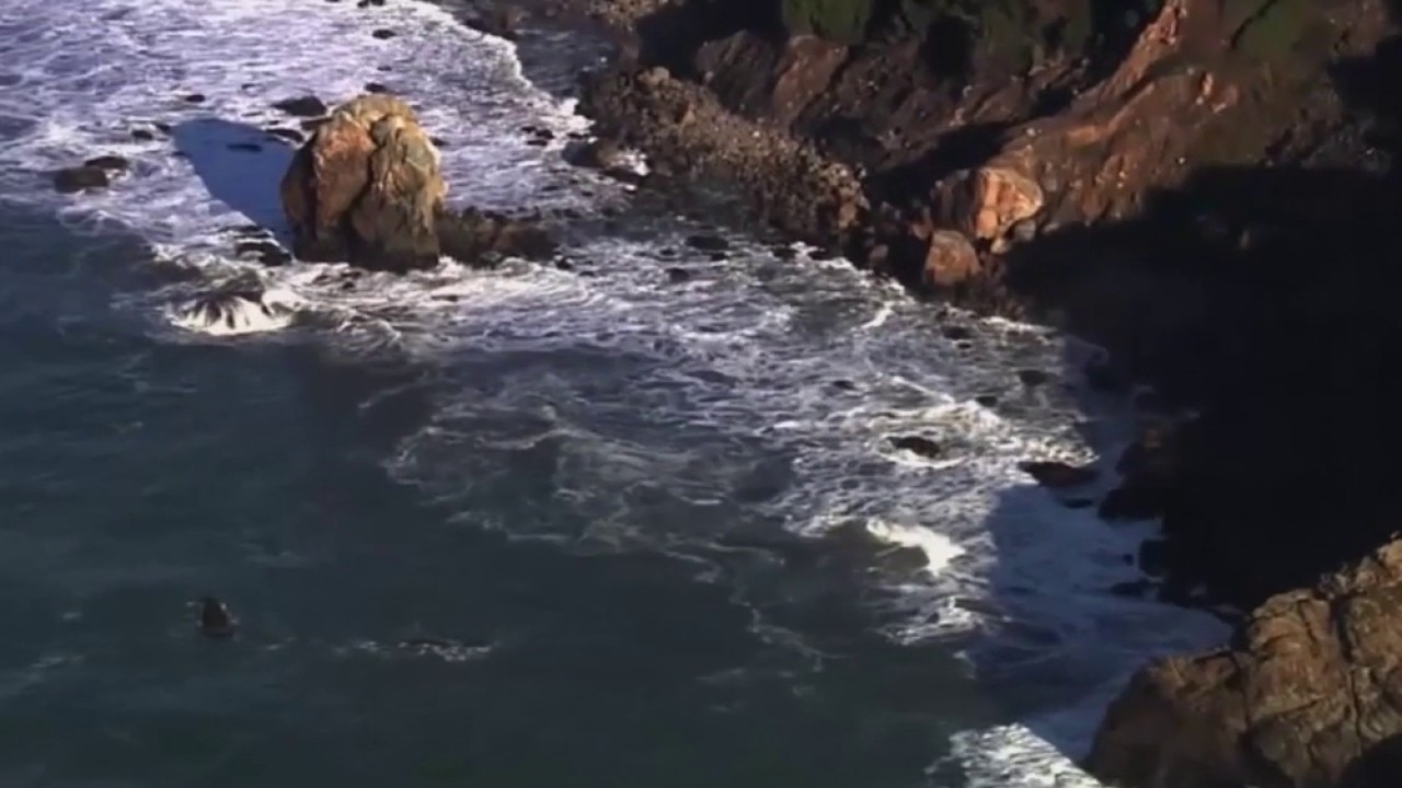 Earth Day celebrations in the Bay Area 