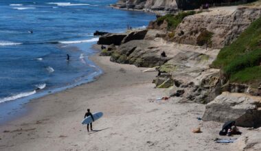 36 Hours in Santa Cruz, California: Things to Do and See