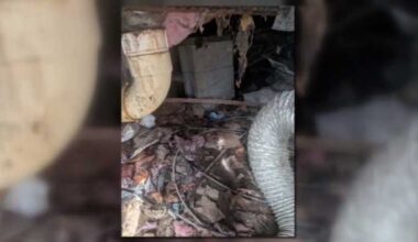 Oakland County family says this sent their kids to doctor’s office almost 100 times