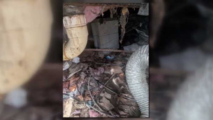 Oakland County family says this sent their kids to doctor’s office almost 100 times