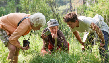 A Berkeley project that became a crucial scientific tool for the world