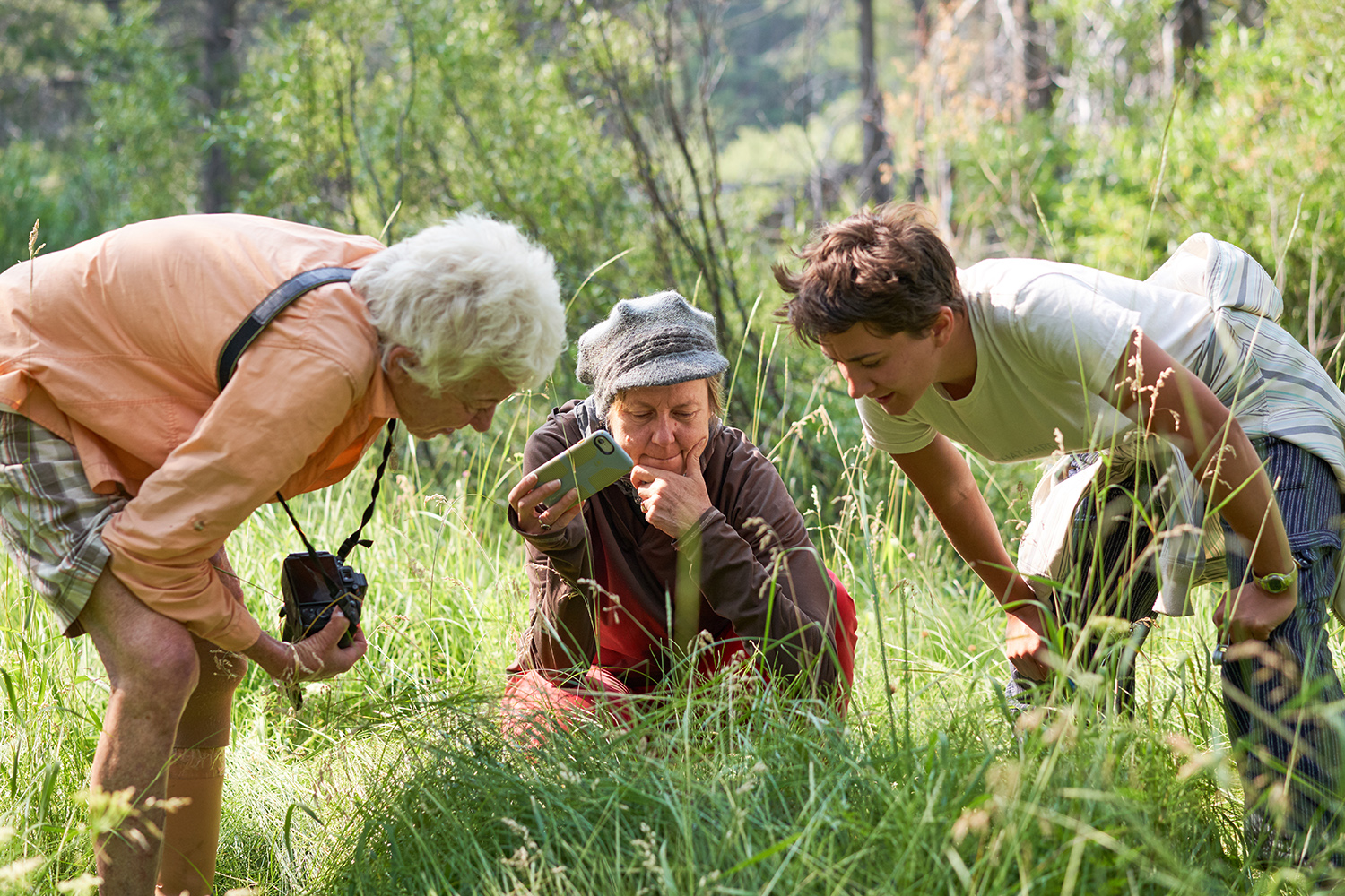 A Berkeley project that became a crucial scientific tool for the world