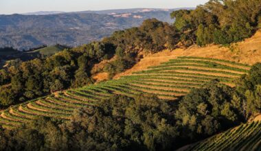 Napa’s Cain Vineyards & Winery sold to SF firm Third Leaf Partners