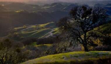 These Bay Area spots are in the running for ‘Best of California’s State Parks’