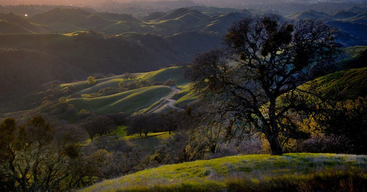 These Bay Area spots are in the running for ‘Best of California’s State Parks’