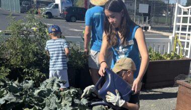 Emerald Keepers camps introduce children to nature, environment