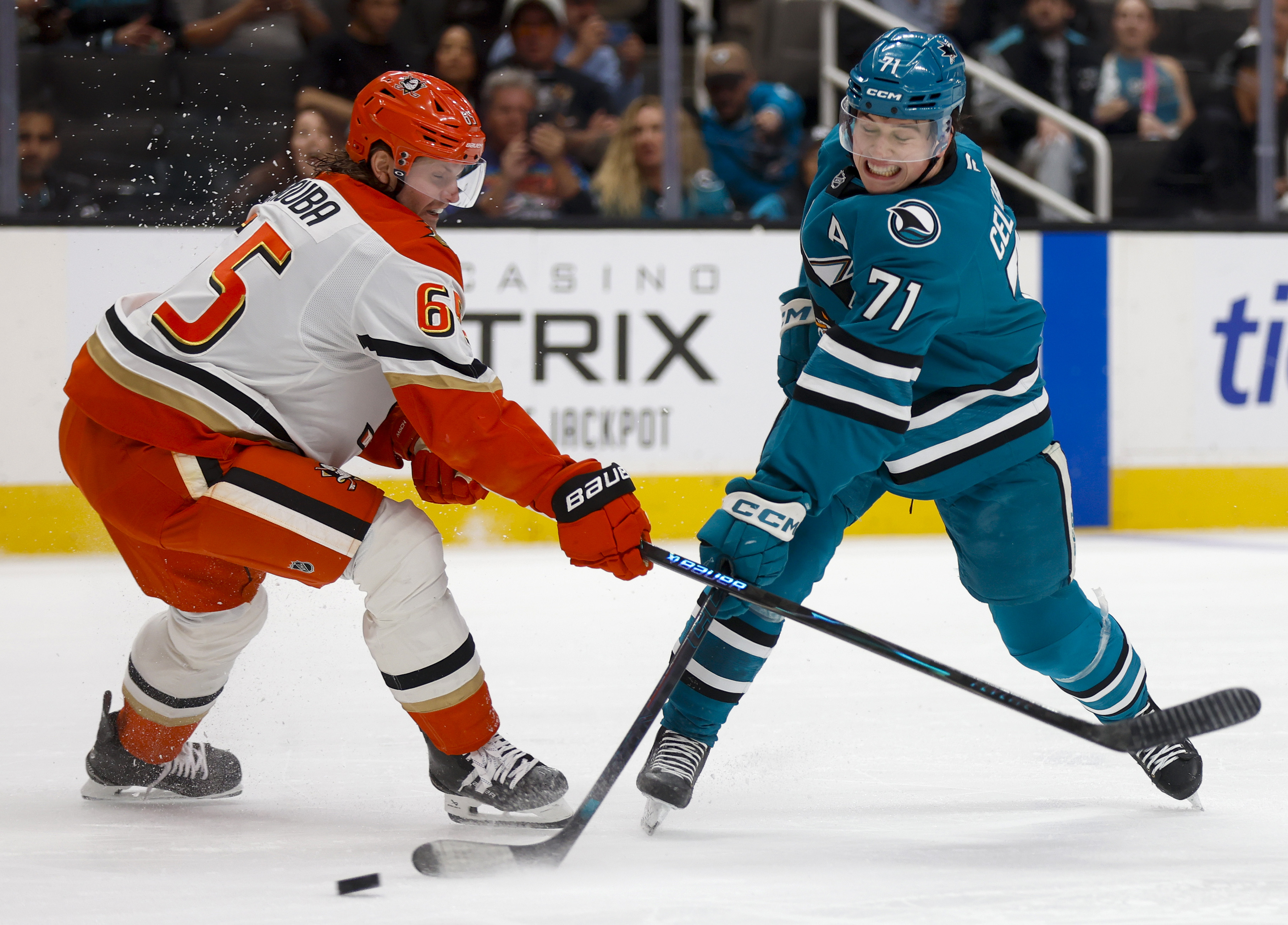 San Jose Sharks’ Macklin Celebrini (71) takes a shot against...
