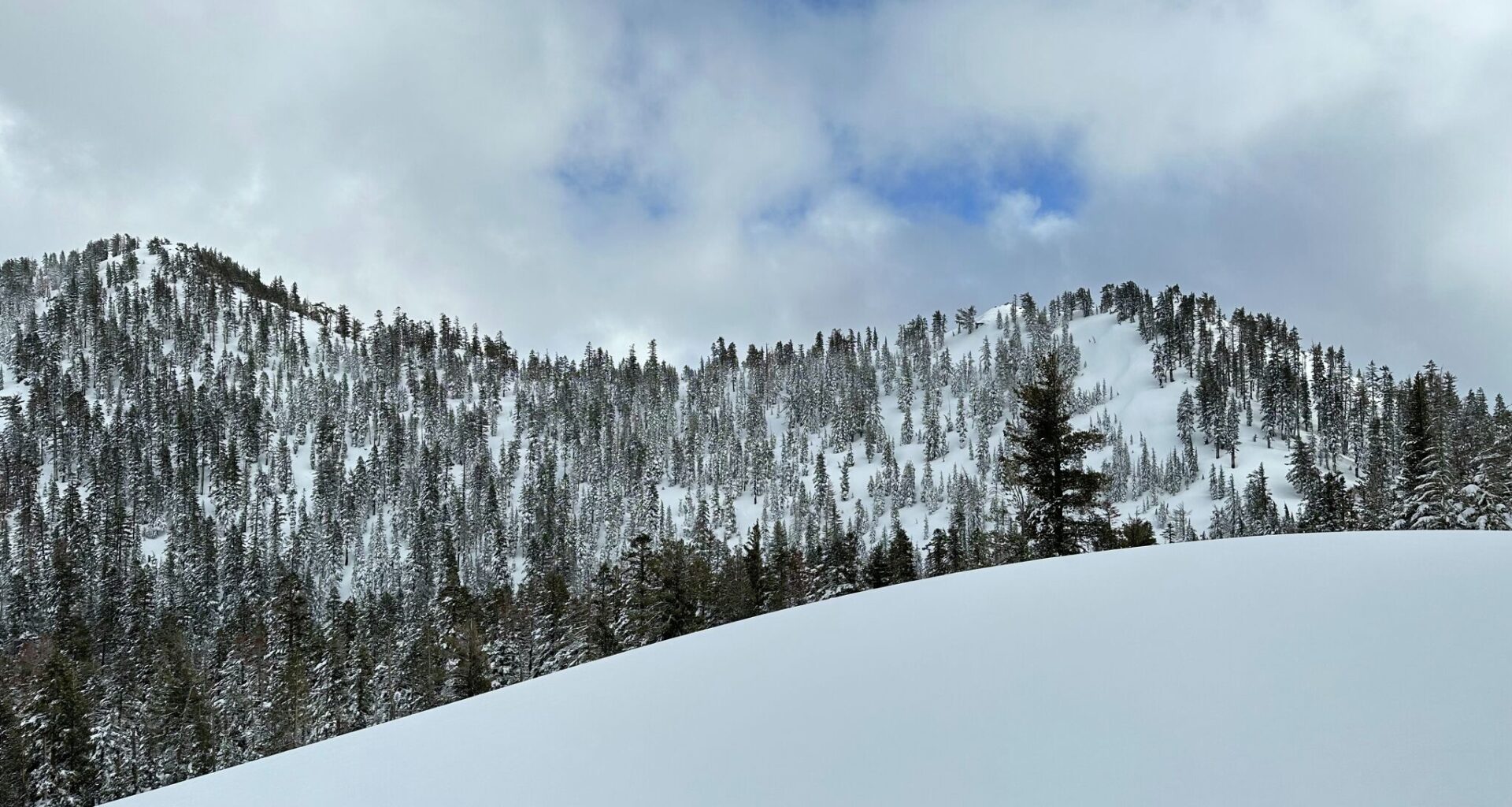 The site of the Castle Peak avalanche that occurred on February 17, 2026. 