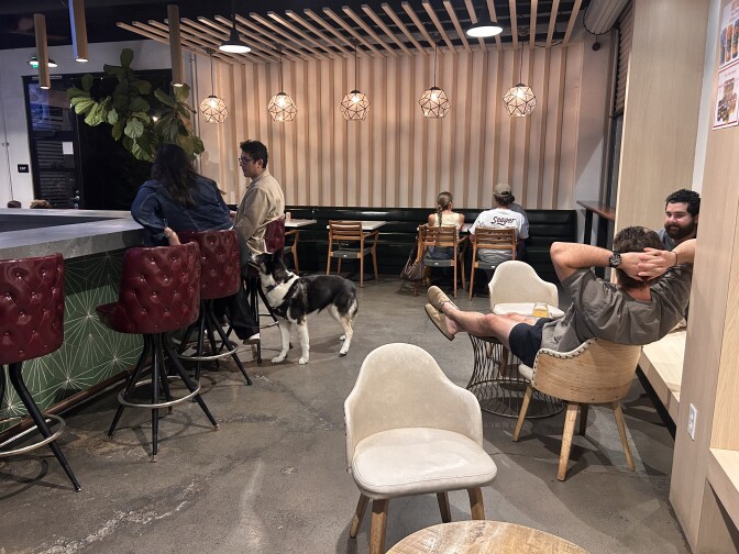 A room with some people lounging on chairs, drinking beer, and a dog next to a couple at the bar sitting in red leather seats.