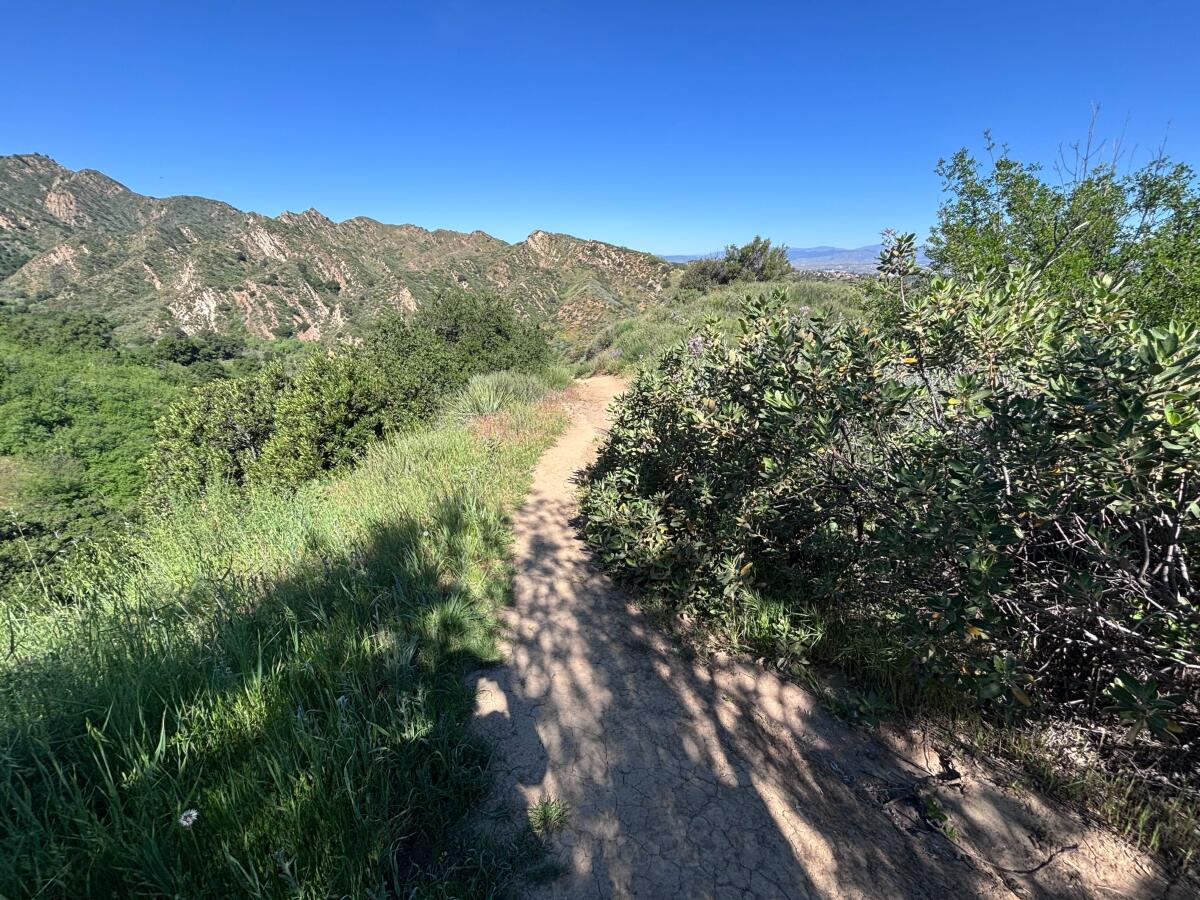 A narrow dirt path past sage and other native plants with mountain peaks in the distance.