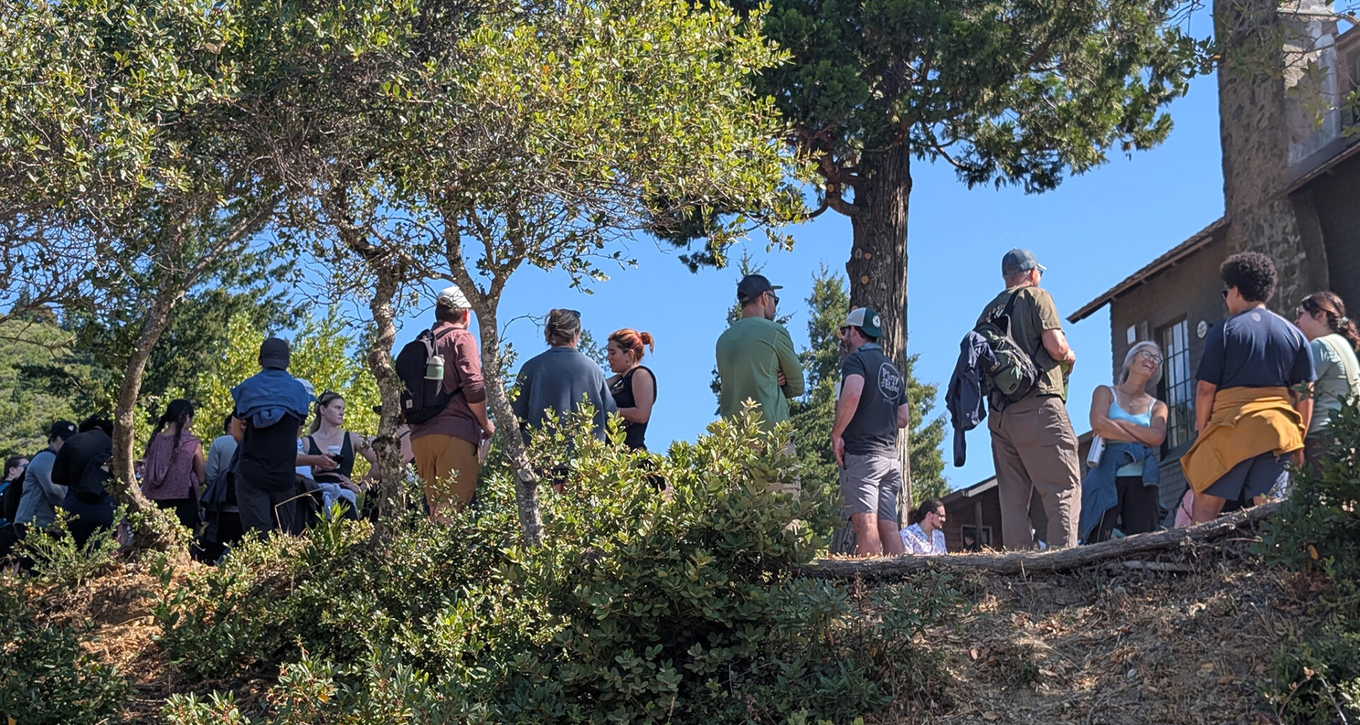 Online hype nearly spoils breakfast at 122-year-old Bay Area hotel