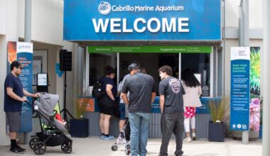 San Pedro’s Cabrillo Aquarium ready to unveil 2 years of upgrades – Daily Breeze