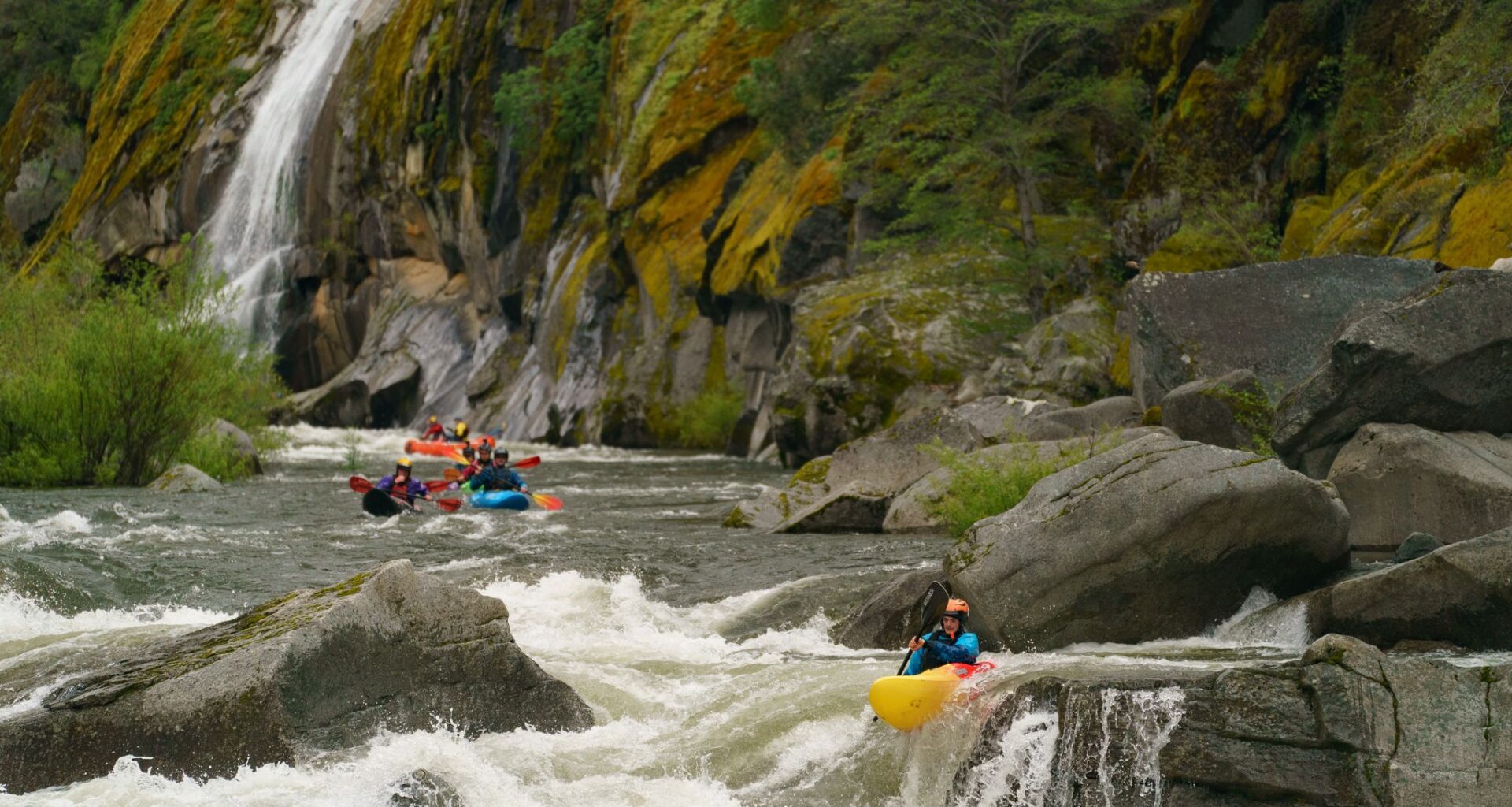 My California whitewater paddling trip was canceled because of a frog