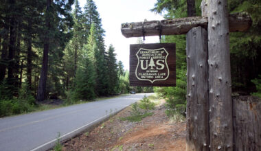 U.S. Forest Service will shut down majority of CA research stations