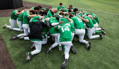 Wolverines fall 8-2 to Cal State Bakersfield in Series Finale