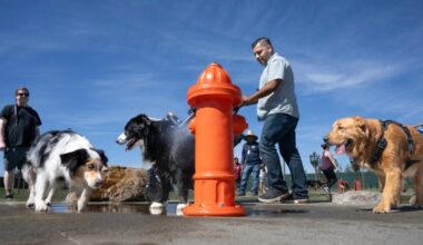 Pups sniff out Santa Ana’s first dog park – Orange County Register