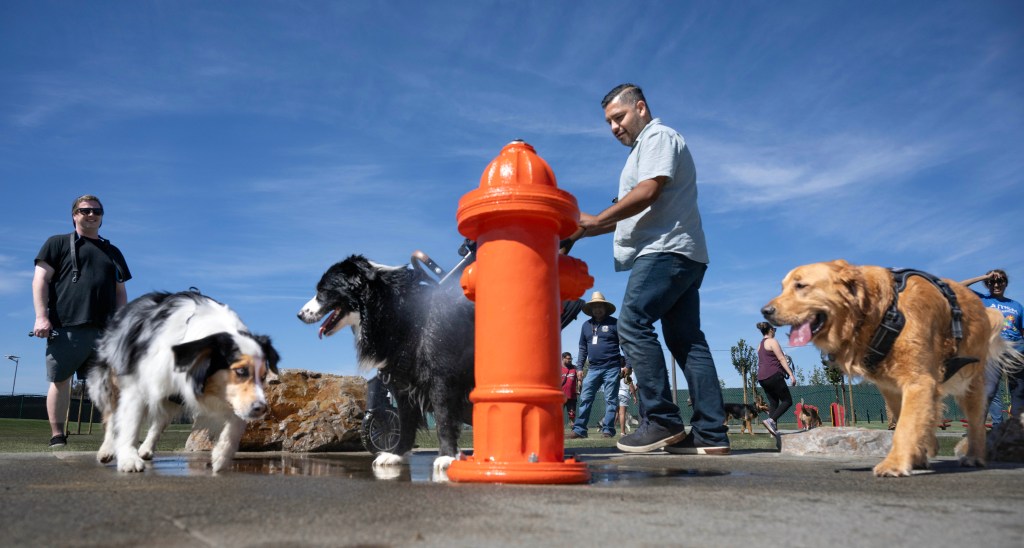 Pups sniff out Santa Ana’s first dog park – Orange County Register