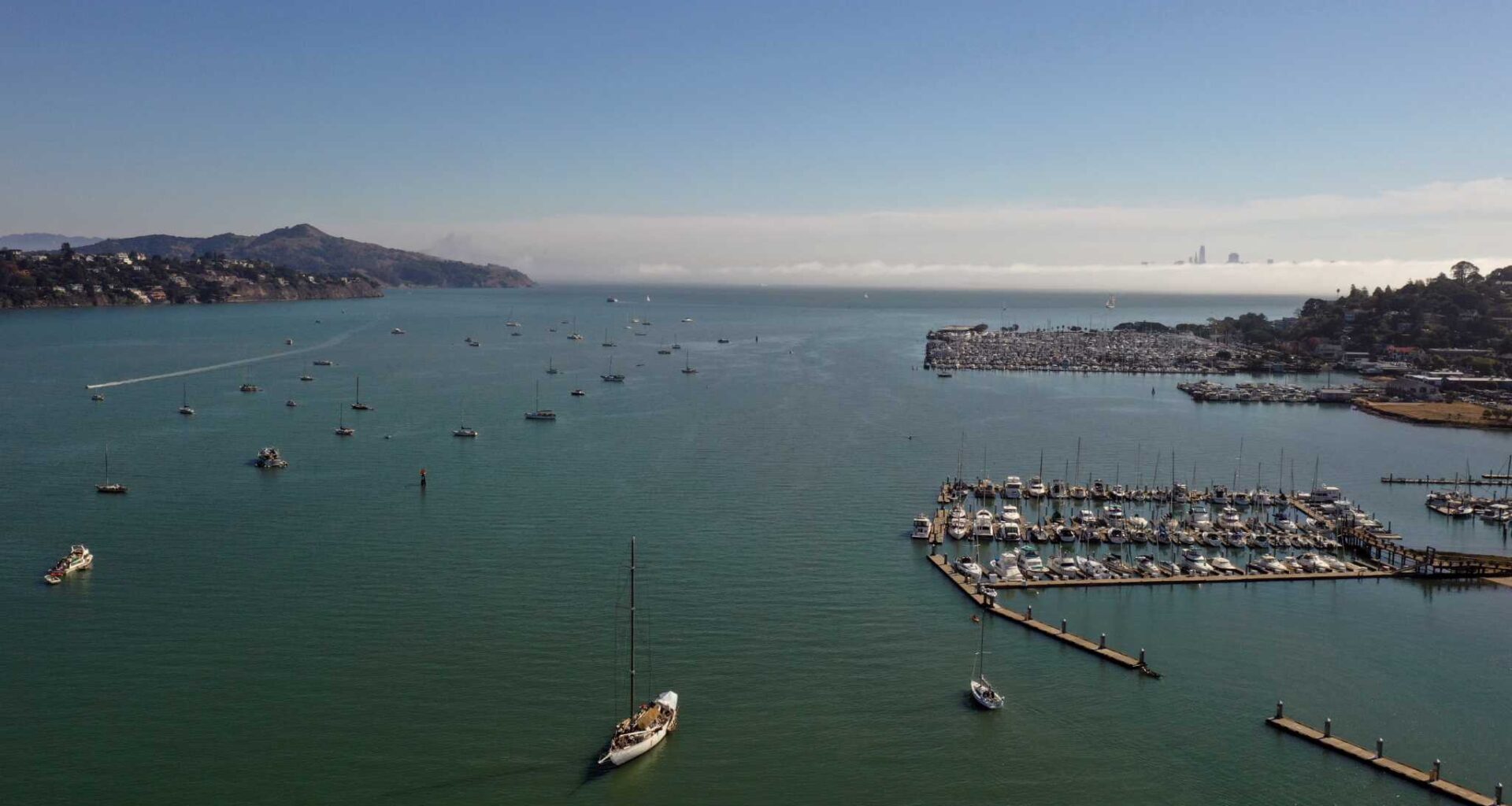 Last illegal boats leave Richardson Bay’s eelgrass protection zone
