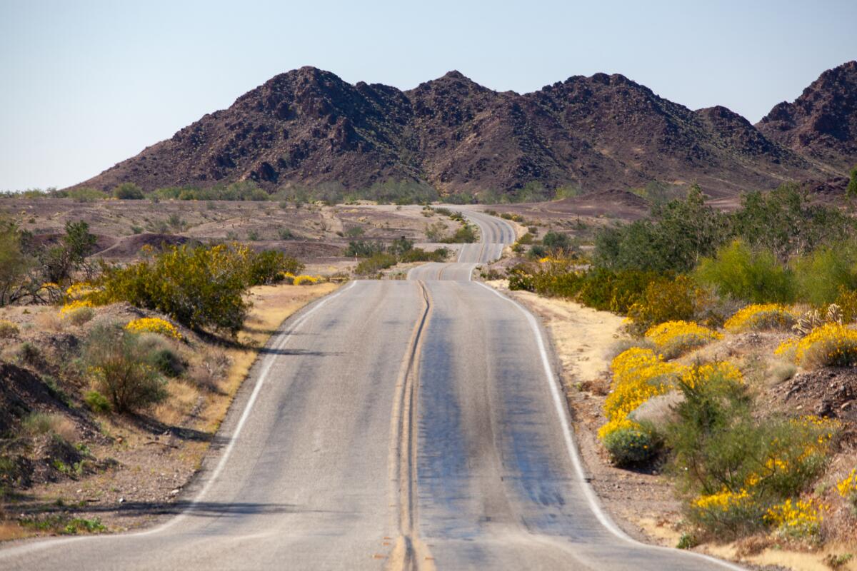 A up and down highway in a desert.