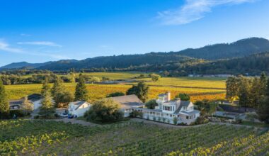 Napa Valley’s Benessere Vineyards will sell in an auction next month