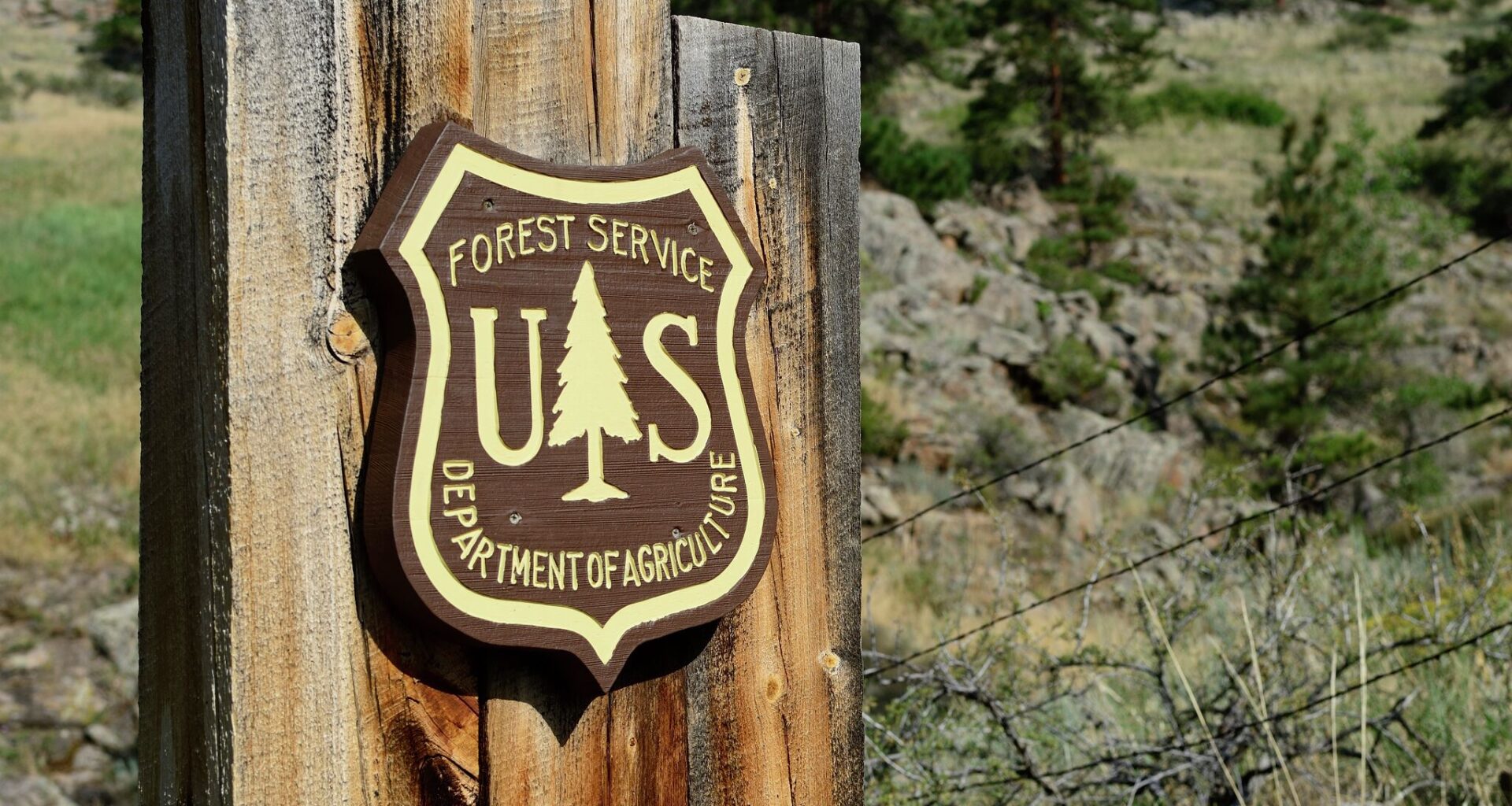 Forest Service to close 6 research stations in California