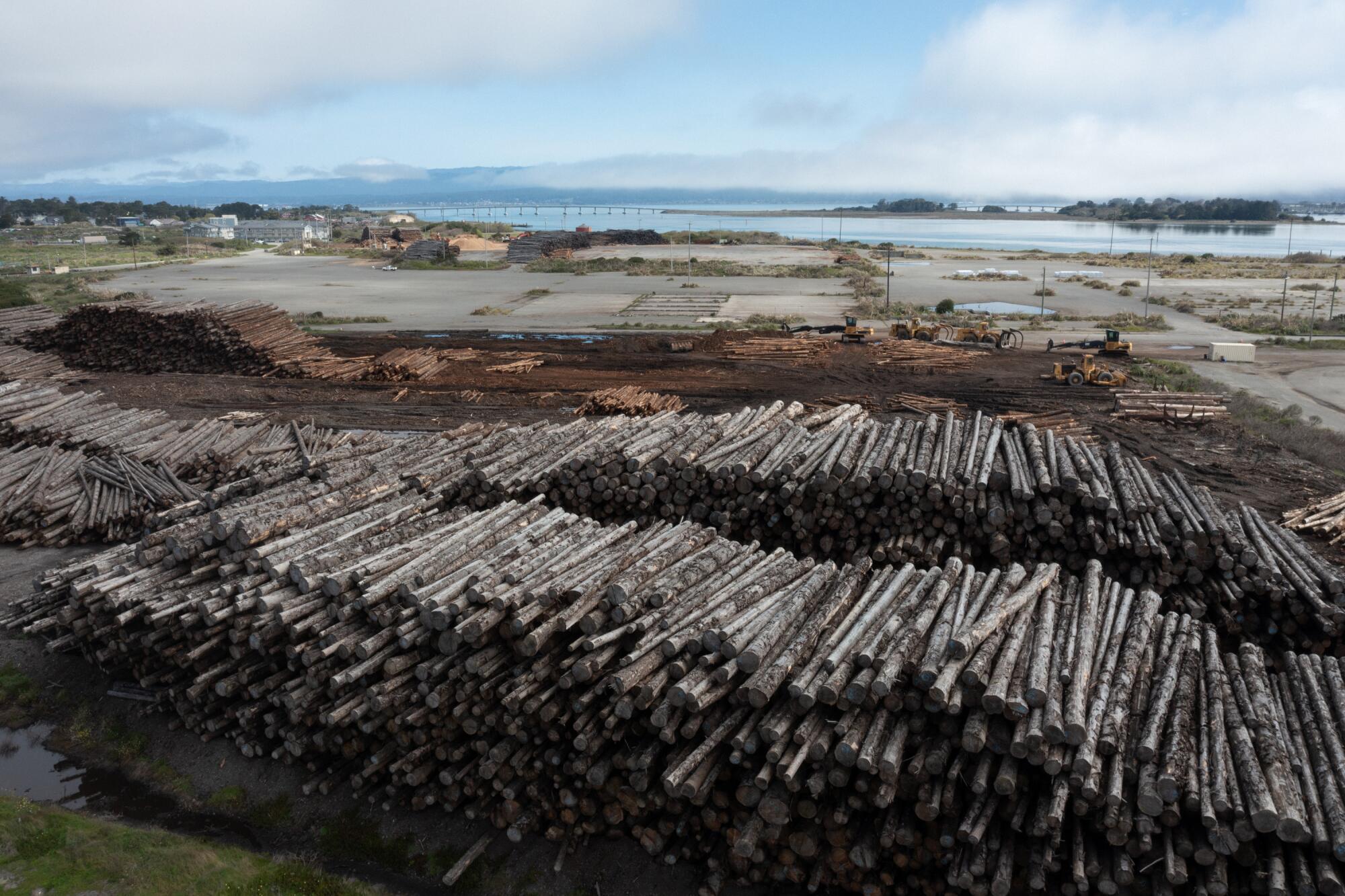 Wood pilings are stacked near the marine terminal in Humboldt Bay.