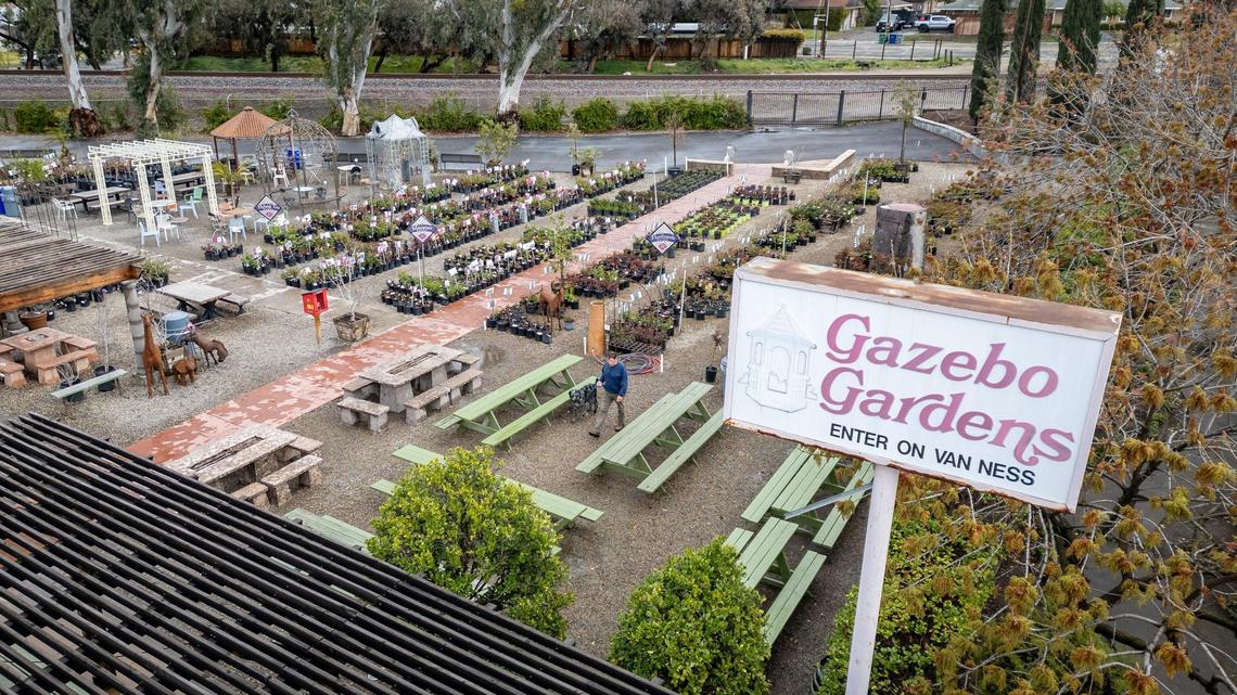 What to plant in Fresno County CA: Spring garden tips