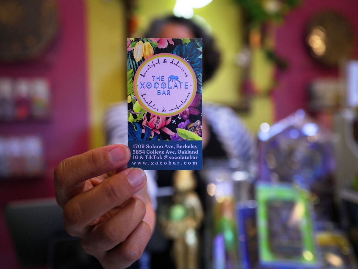 How thorny regulations and tariffs led Xocolate Rockridge to melt down