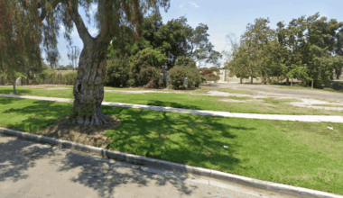 Skull, jaw bone found during Easter egg hunt in Long Beach confirmed to be human remains – Whittier Daily News