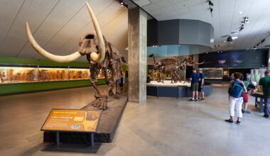 The La Brea Tar Pits Museum and Getty Center are closing to prep for the Olympics