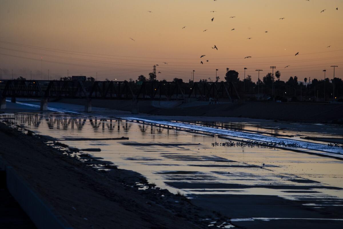View towards what would be the Los Angeles River Platform Park 