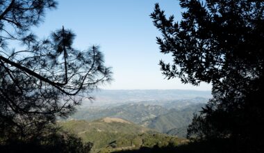 Mountain lions need more road crossings