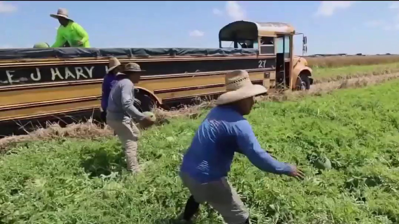 California bill seeks to ban 'forever chemicals' from pesticides used on food crops