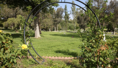 In a wealthy LA suburb, a hidden pet cemetery to the Hollywood stars