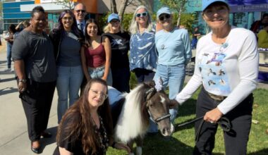 Mini horses delight during Autism Day event at Long Beach children’s hospital – Press Telegram